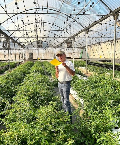 Jonathan Henen In NetaGenomiX Greenhouse